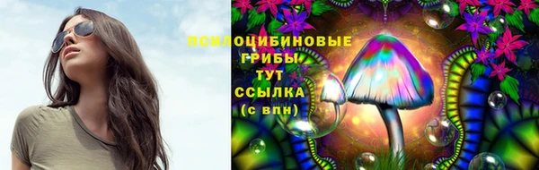 Альфа ПВП Балабаново