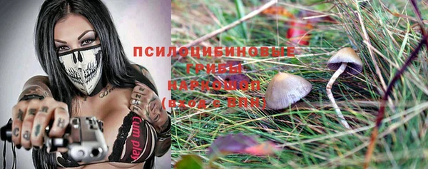 Альфа ПВП Балабаново