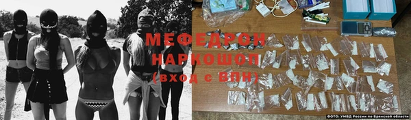 прущие грибы Пересвет